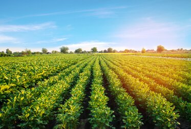 service details benefit img